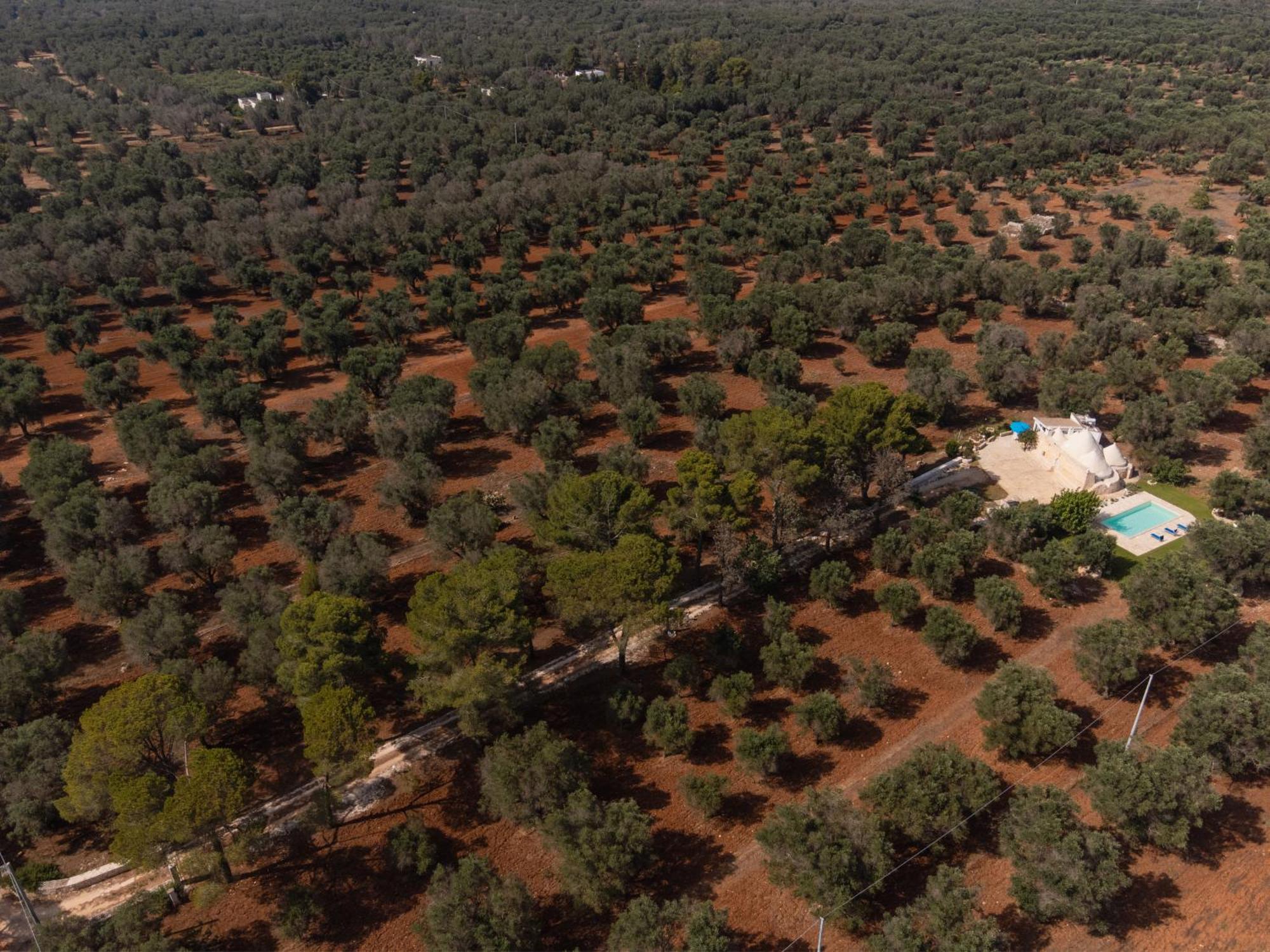 Trullo Tarantini Con Piscina Privata Apartment Latiano Luaran gambar